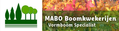 MABO Boomkwekerijen