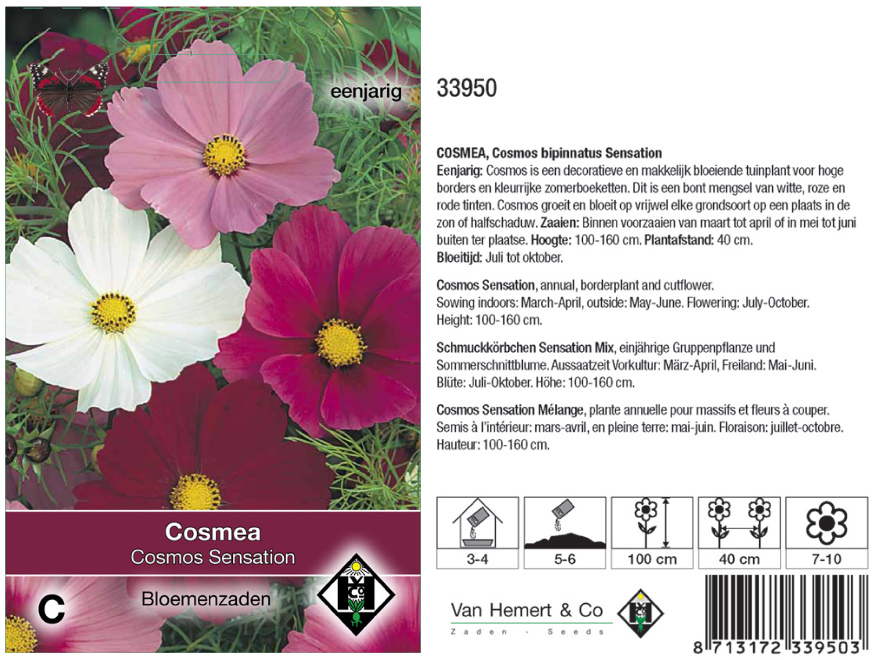 Cosmos bipinnatus 'Sensation' Diverse Kleuren Cosmea, Sieradenbloem