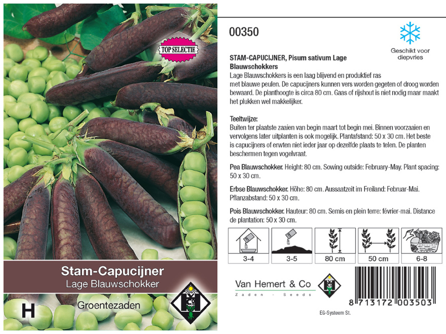 Pisum sativum 'Désirée' Lage Blauwschokker Stam-Capucijner