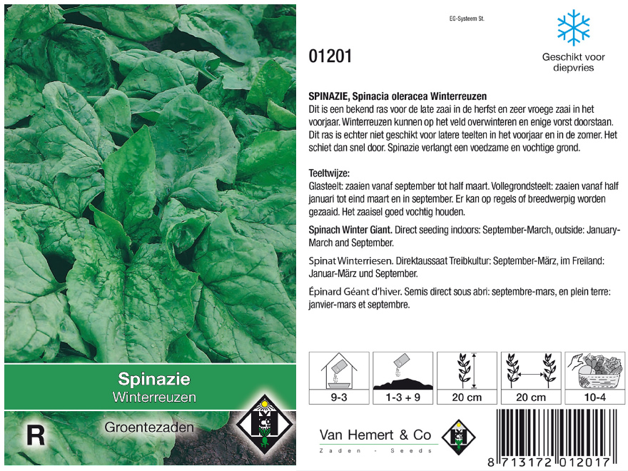Spinacia oleracea 'Winterreuzen' 150 gr. Spinazie