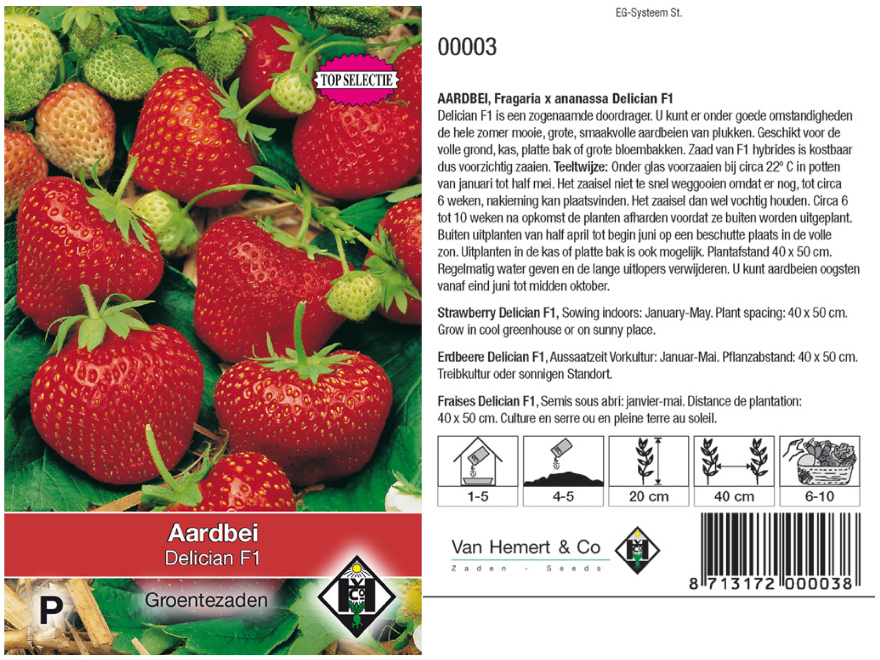 Fragaria ananassa 'Delican F1' Eetbare Rode Aardbei