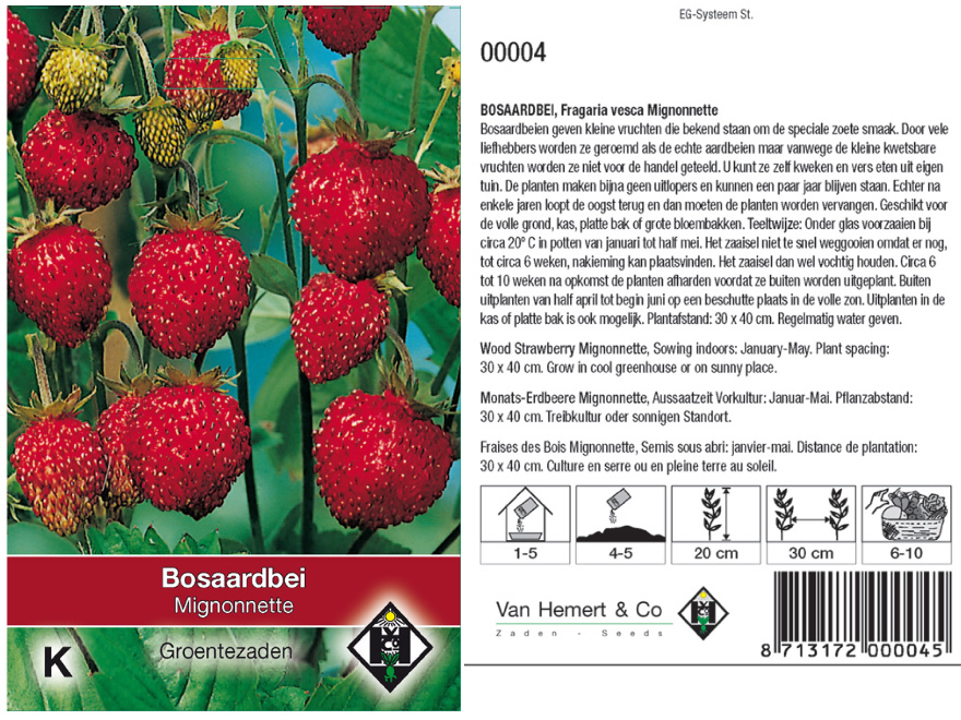 Fragaria vesca 'Mignonnette' Rode Bosaardbei