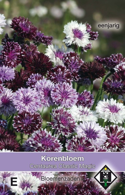 Centaurea cyanus 'Classic Magic' Korenbloem Classic Magic