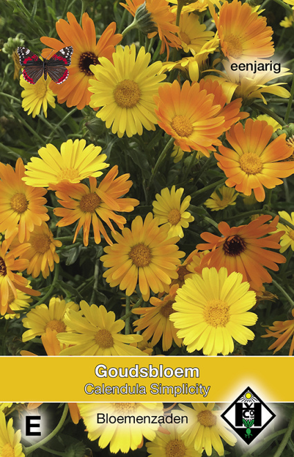 Calendula officinalis 'Simplicity' Diverse Kleuren Goudsbloem