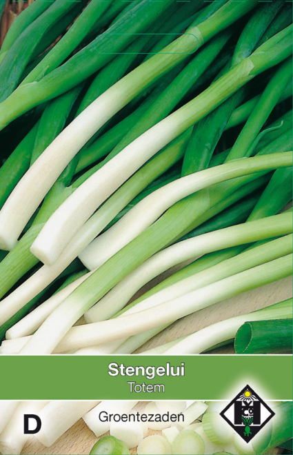 Allium fistulosum 'Totem' Stengelui 