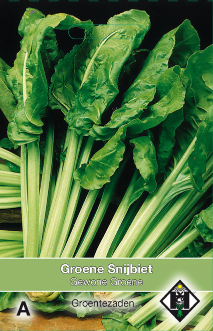 Beta vulgaris cicla 'Gewone Groene' Groene Snijbiet