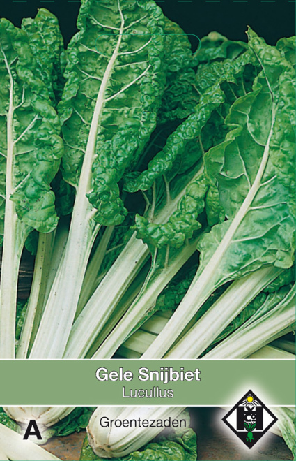 Beta vulgaris cicla 'Lucullus' Gele Snijbiet 
