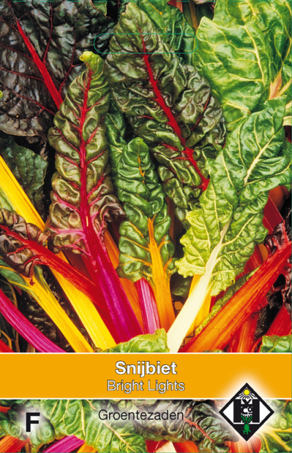 Beta vulgaris cicla 'Bright Lights' Gekleurde Snijbiet