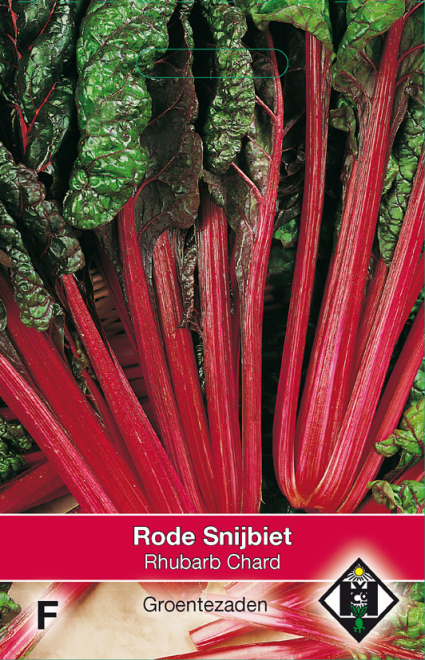 Beta vulgaris cicla 'Rhubarb Chard' Rode Snijbiet