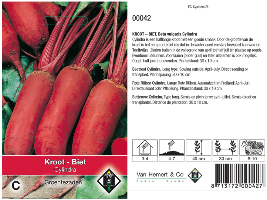 Beta vulgaris 'Cylindra' Kroten, Rode Bietjes