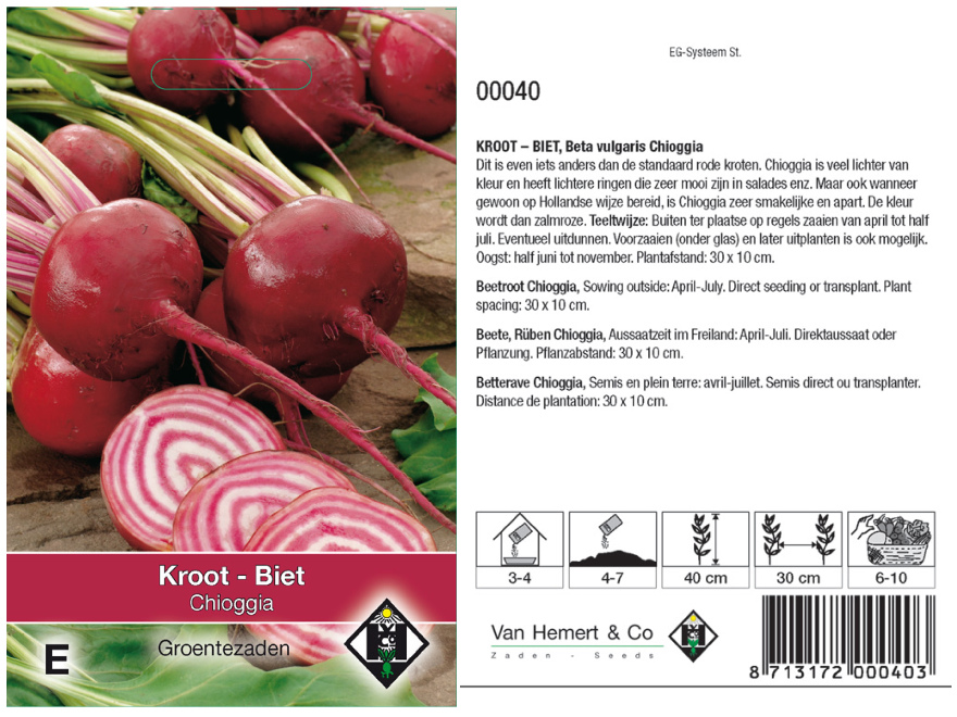 Beta vulgaris 'Chioggia' Kroten, Rode Bietjes