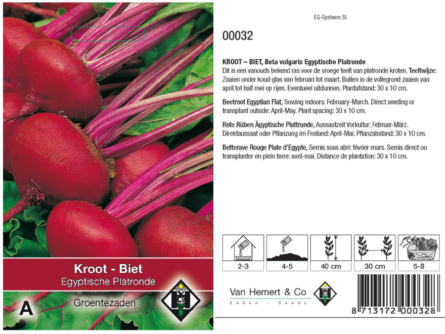 Beta vulgaris 'Egyptische Platronde' Kroten, Rode Bietjes