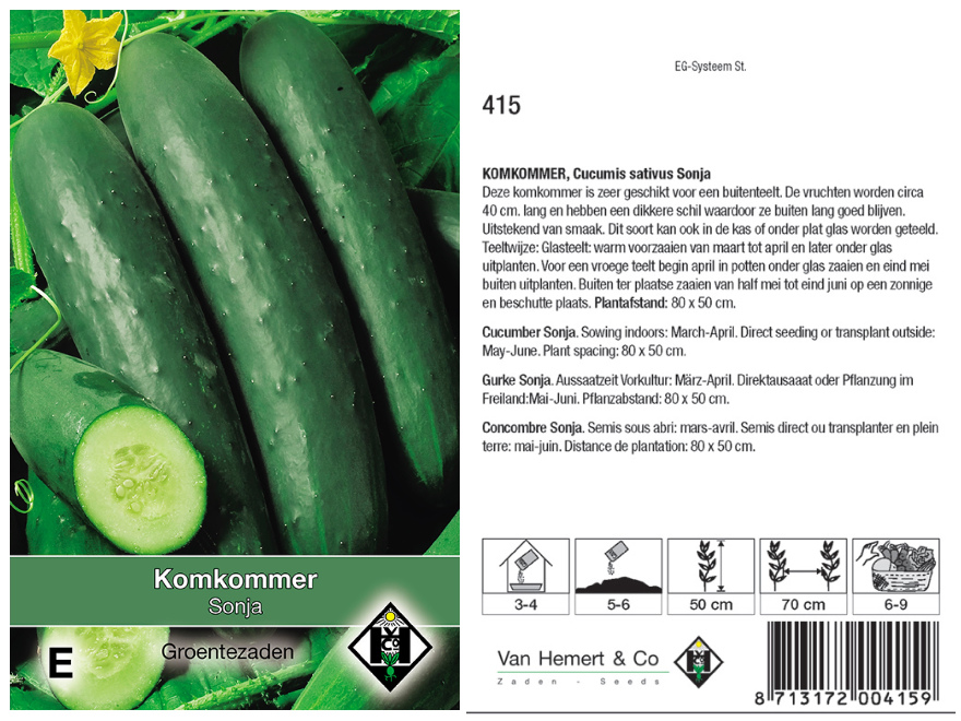 Cucumis sativus 'Sonja' Moestuin komkommer