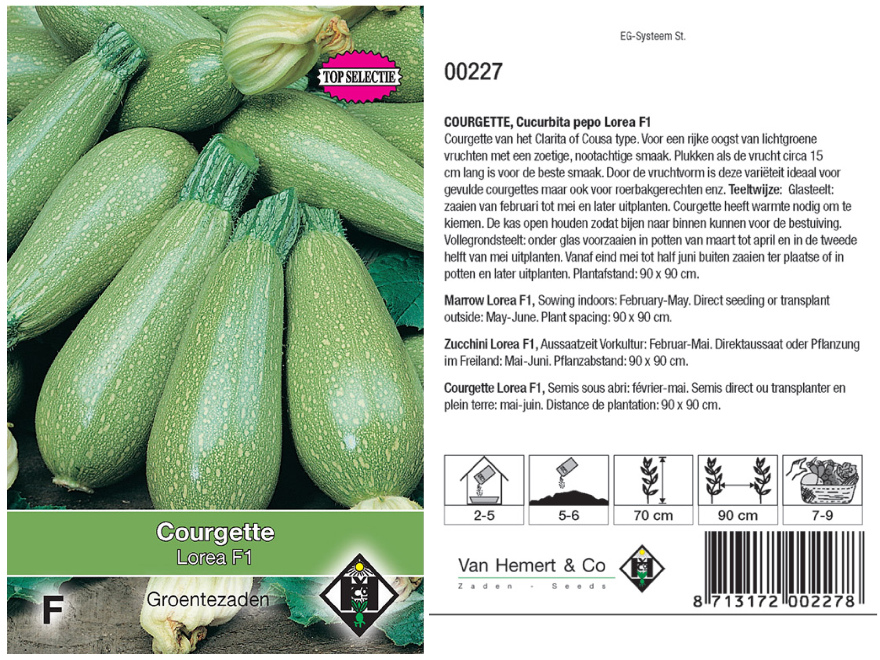 Cucurbita pepo 'Lorea F1' Lichtgroene courgette