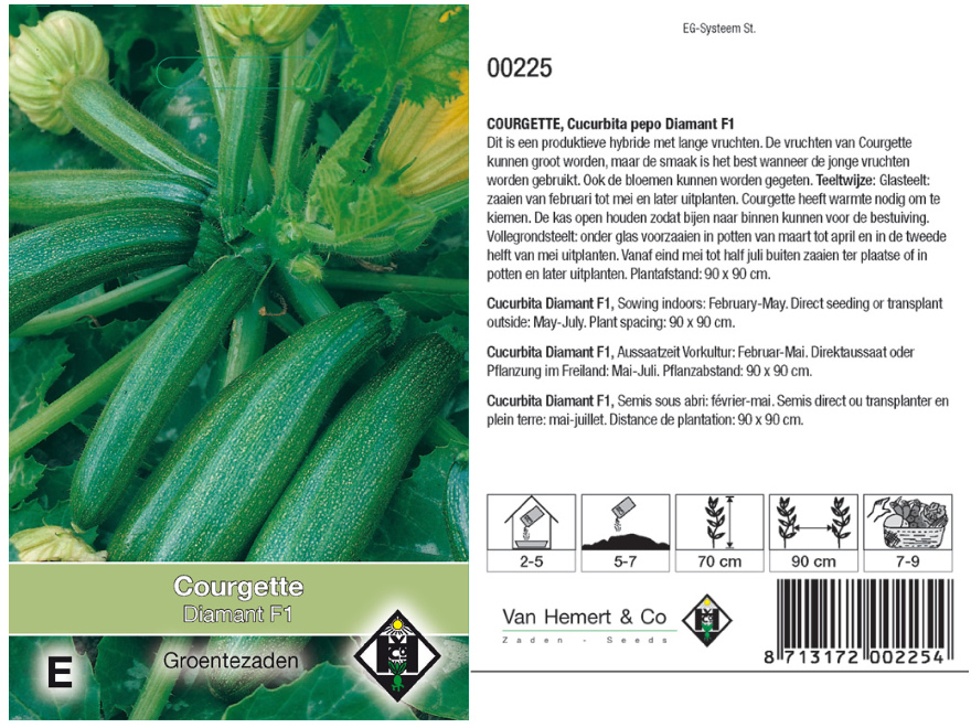 Cucurbita pepo 'Diamant F1' Courgette Diamant F1