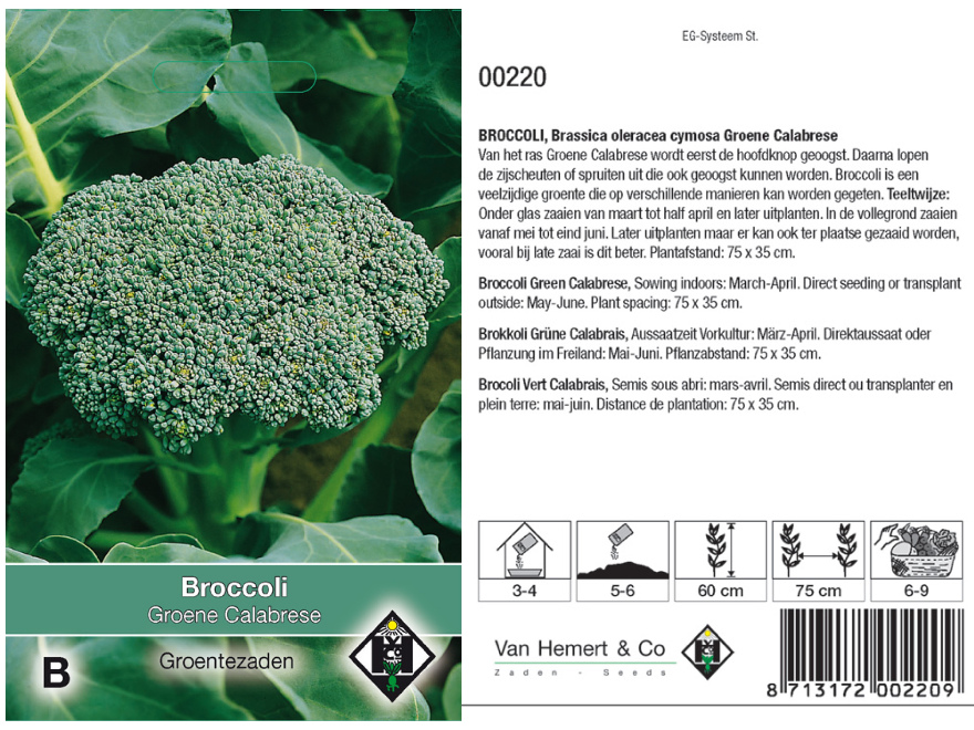 Brassica oleracea cymosa 'Groene Calabrese' Broccoli