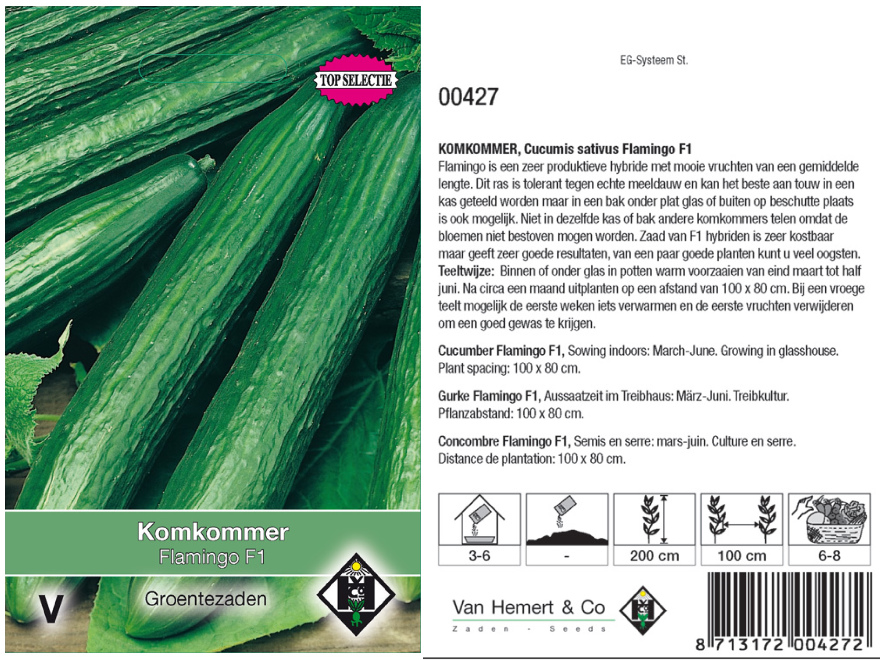 Cucumis sativus 'Flamingo F1' Komkommer