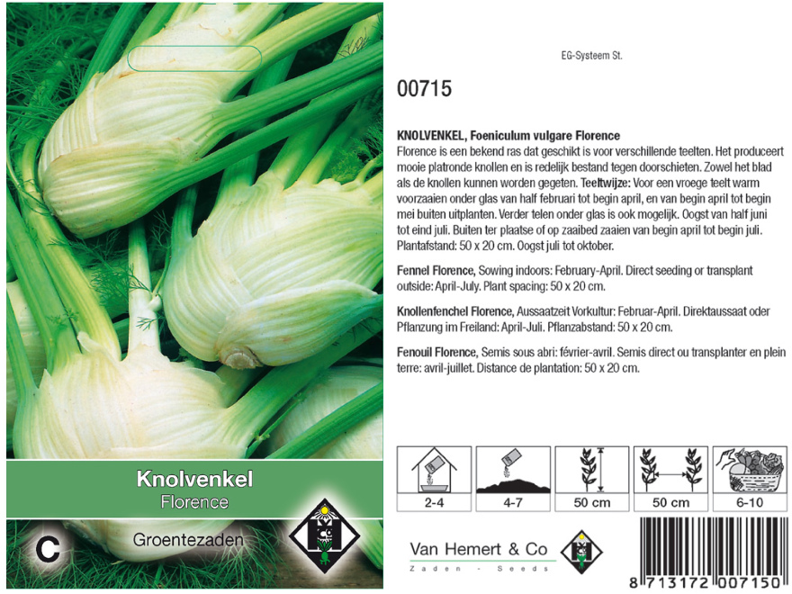 Foeniculum vulgare 'Florence' Knolvenkel 