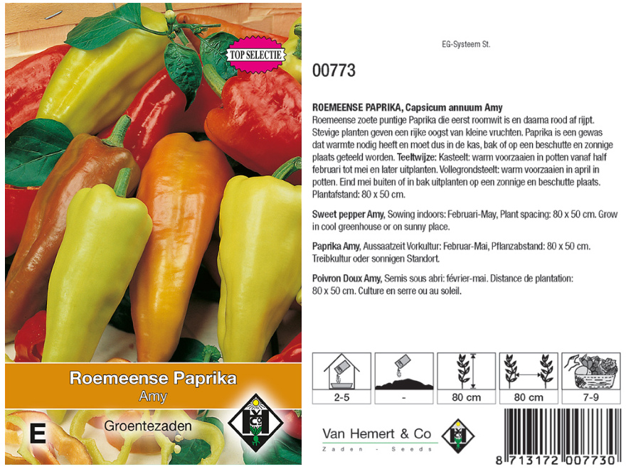 Capsicum annuum 'Amy' Roemeense paprika