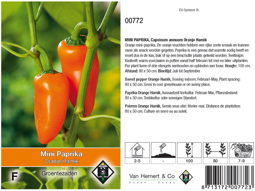 Capsicum annuum 'Oranje Hamik' Mini paprika