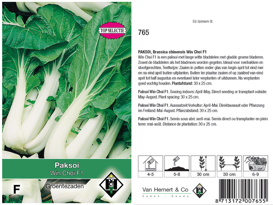 Brassica chinensis 'Win Choi F1' Paksoi