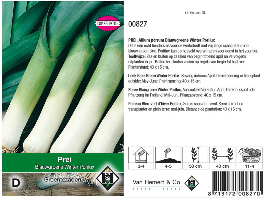 Allium porrum 'Porilux' Prei