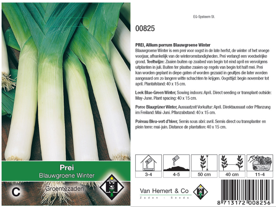 Allium porrum 'Blauwgroene Winter' Winterprei