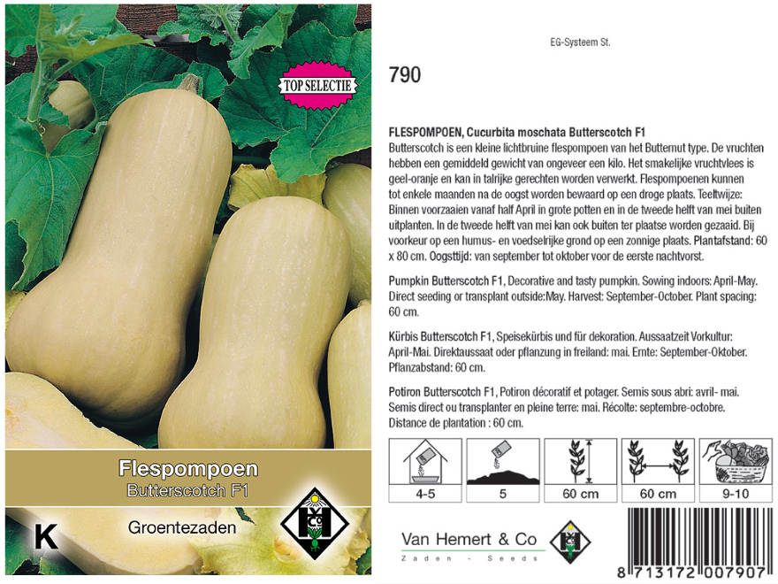 Cucurbita moschata 'Butterscotch F1' Lichtbruine flespompoen
