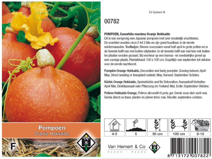 Cucurbita maxima 'Oranje Hokkaido' Japanse pompoen