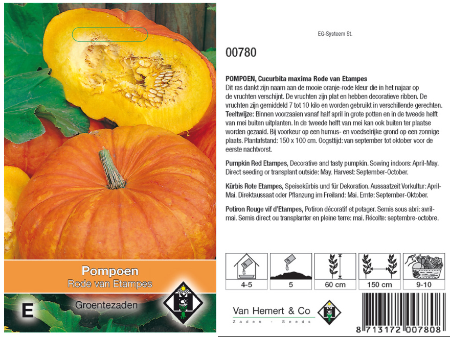  Cucurbita maxima 'Rode van Etampes' Oranje Pompoen