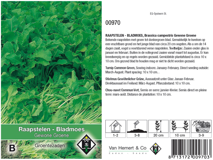 Brassica campestris 'Gewone Groene' Bladmoes, Raapstelen
