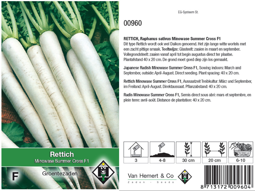 Raphanus sativus 'Minowase Summer Cross F1' Rettich, Tuinradijs, Daikon