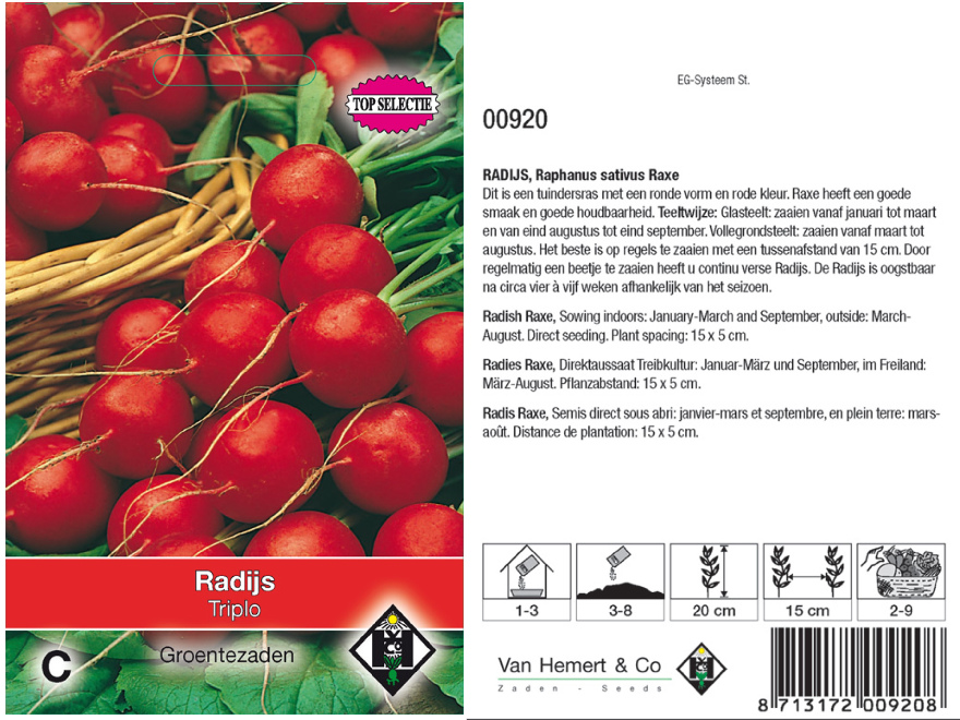 Raphanus sativus 'Raxe' Radijs