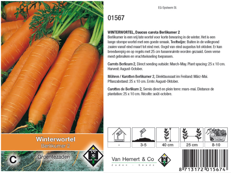 Daucus carota 'Berlikumer 2' Winter wortel 