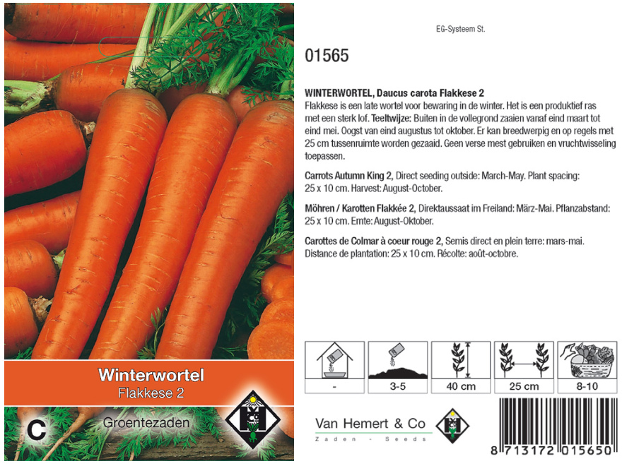 Daucus carota 'Flakkese 2' Winterwortel