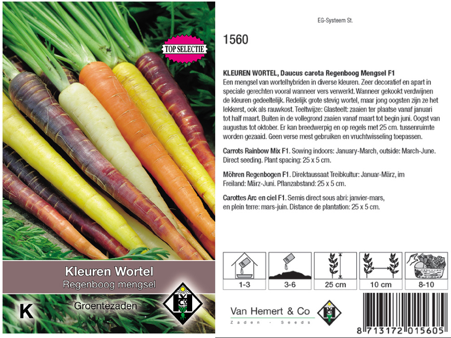 Daucus carota 'Regenboog Mengsel F1' Kleuren Wortel Regenboog  F1mengsel