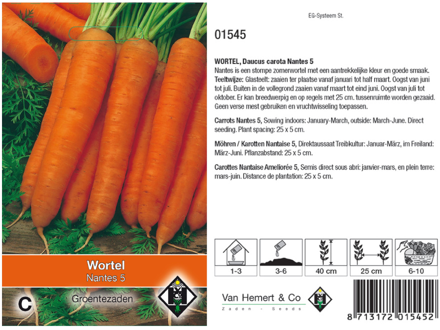 Daucus carota 'Nantes 5' Zomerwortel 