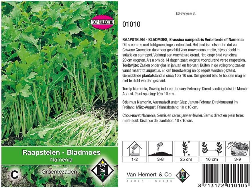 Brassica campestris 'Namenia' Raapstelen,bladmoes