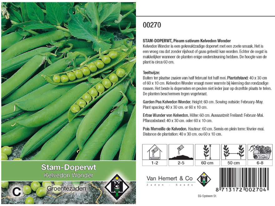 Pisum sativum 'Kelvedon Wonder'  Stam-doperwt 