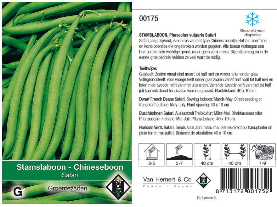 Phaseolus vulgaris 'Safari' Stamslaboon - Chineseboon