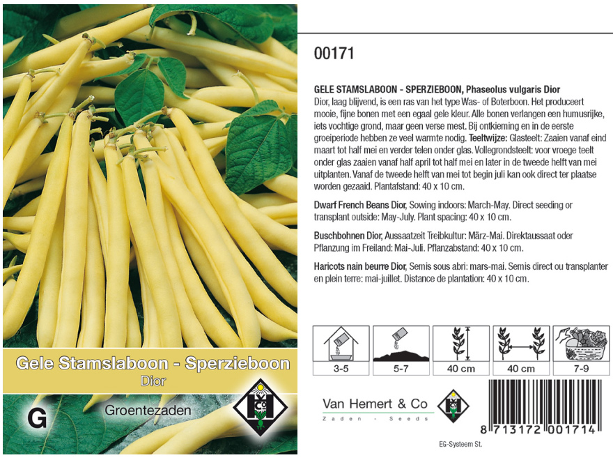 Phaseolus vulgaris 'Dior'  Gele Stamslaboon - Sperzieboon