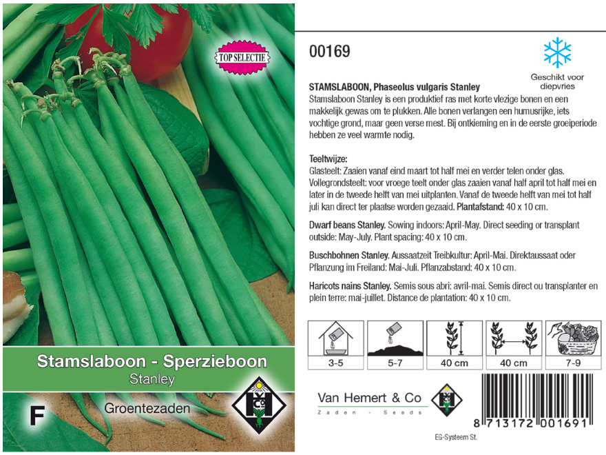 Phaseolus vulgaris 'Stanley' Stamslaboon - Sperzieboon