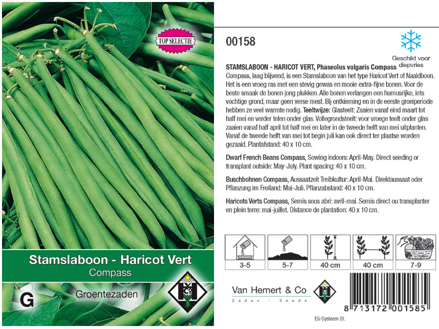Phaseolus vulgaris 'Compass'  Stamslaboon - Haricot Vert