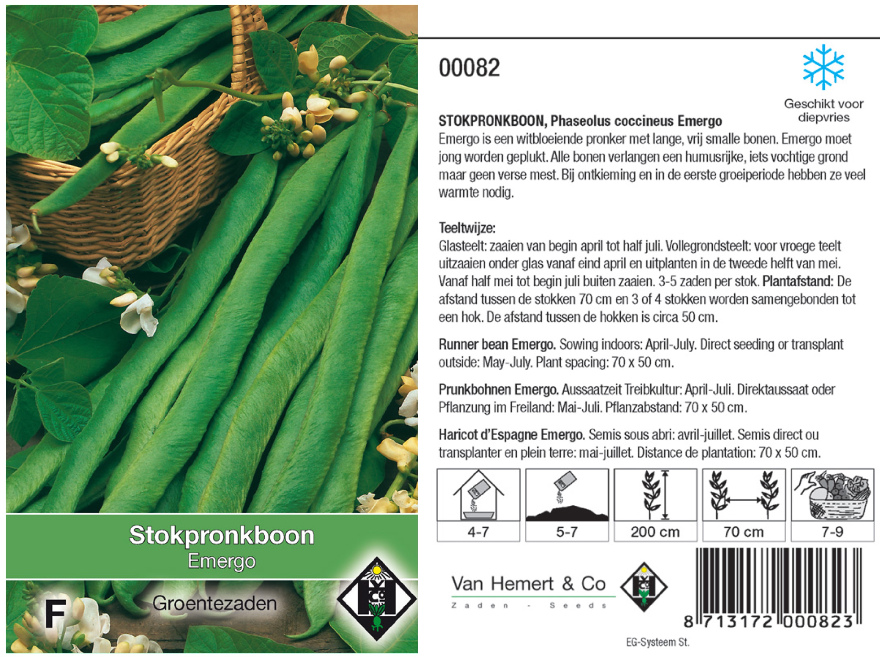 Phaseolus coccineus 'White Emergo' Stokpronkboon