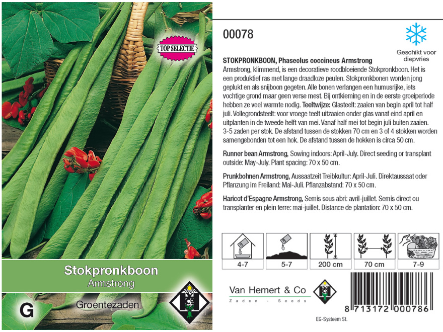  Phaseolus coccineus 'Armstrong' Stokpronkboon (Klimmend)