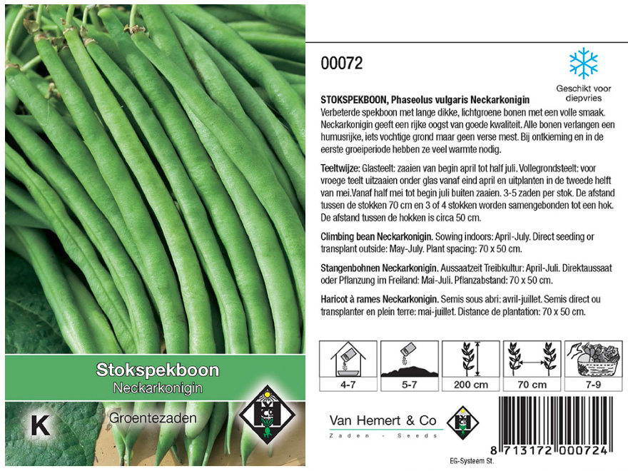 Phaseolus vulgaris 'Neckarkönigin'  Stokspekboon