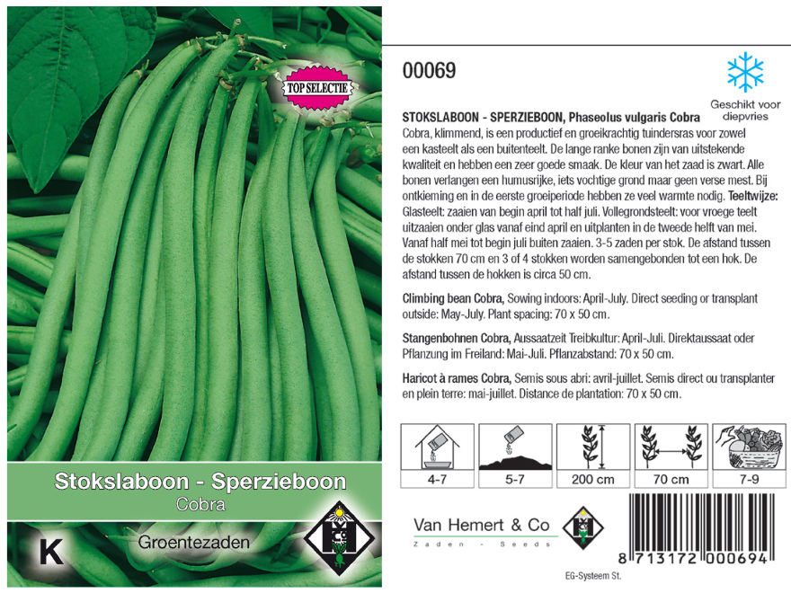Phaseolus vulgaris 'Cobra' Stokslaboon - Sperzieboon
