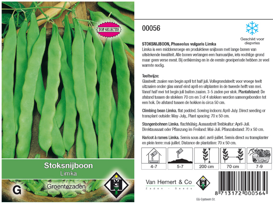 Phaseolus vulgaris 'Limka' Stoksnijboon