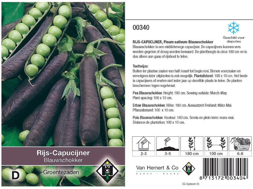 Pisum sativum 'Blauwschokker' Blauwe Rijs-Capucijner 
