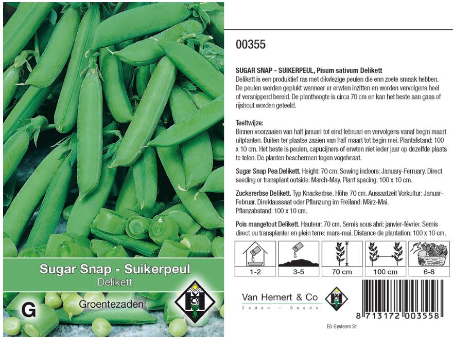  Pisum sativum 'Delikett' Sugar Snap - Suikerpeul (Klimmend)